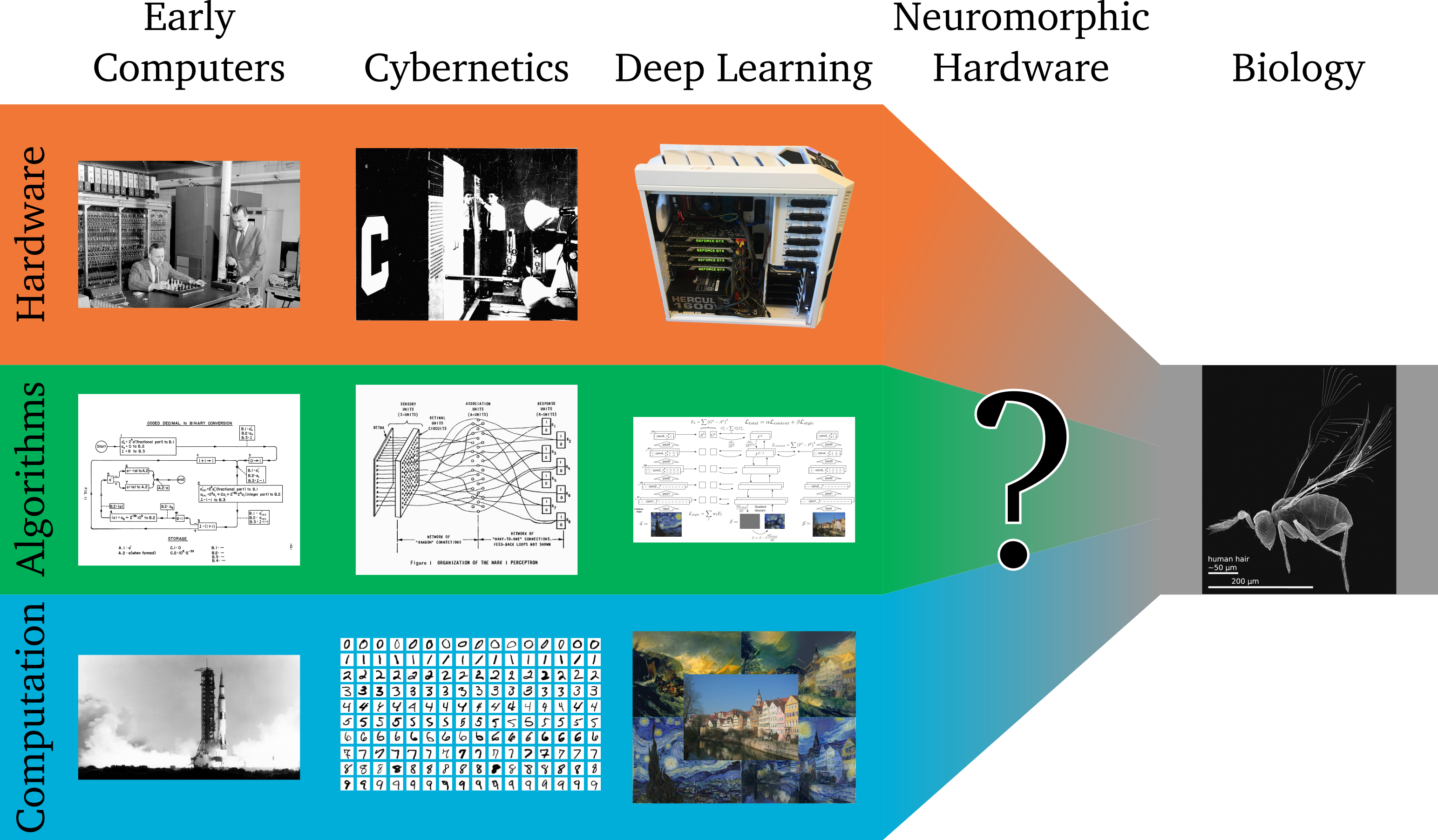 Neuromorphic Hardware - History