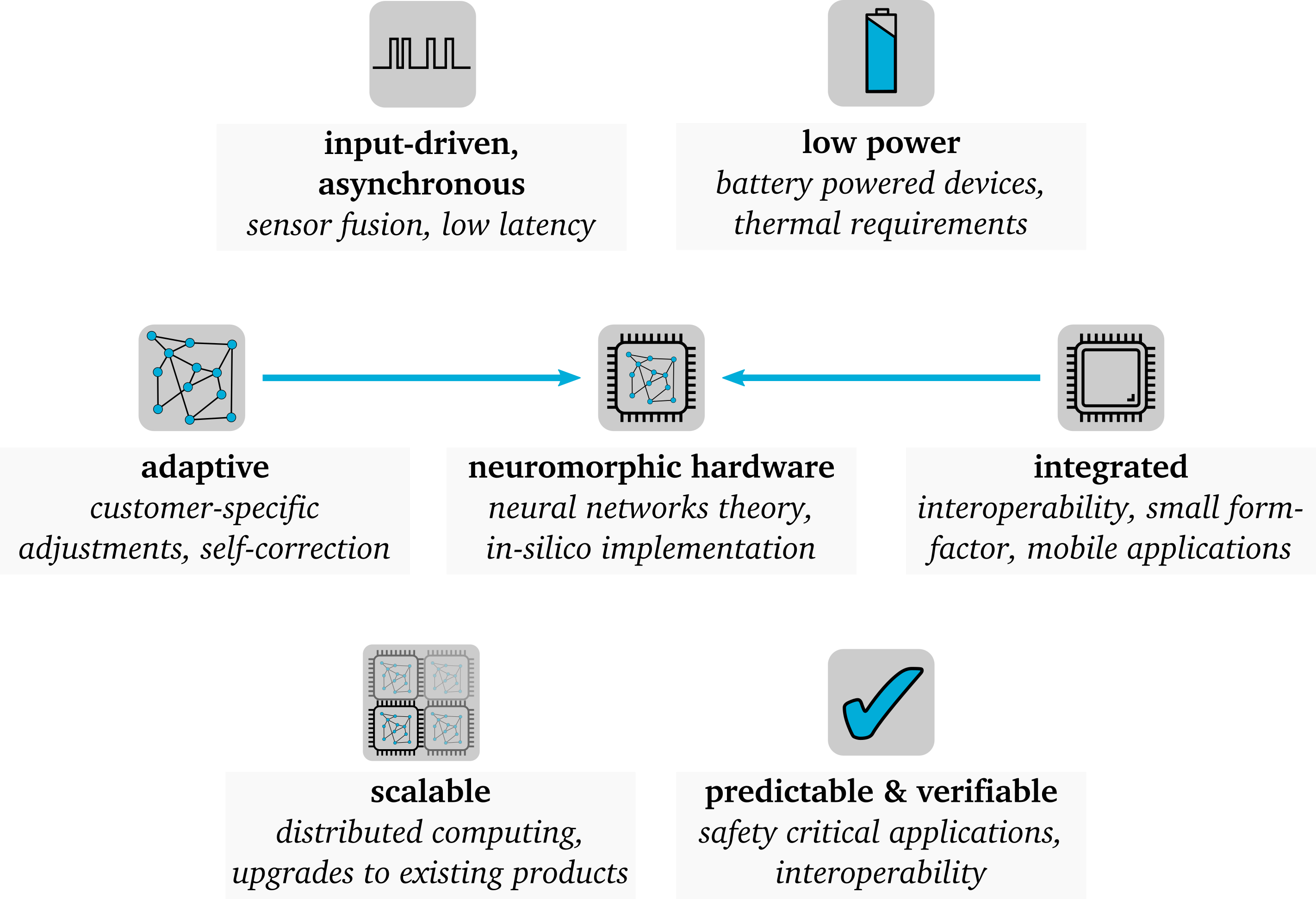 Neuromorphic Hardware - Principles